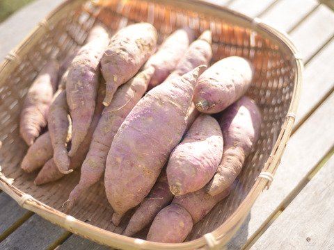 大切な 自然栽培 【熟成紅はるか】ねっとり甘い (農薬・肥料・堆肥不 野菜