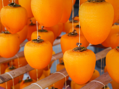 【母の日ギフト】熟柿のコク！柿のパウンドケーキとジェラート3個セット