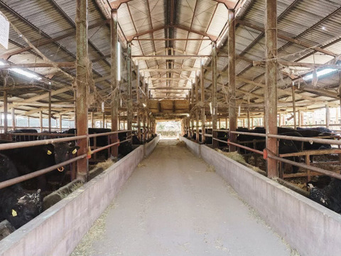 ☆超お買い得☆【豊作和牛ダイヤモンドミンチパックセット】300g×3(冷凍)