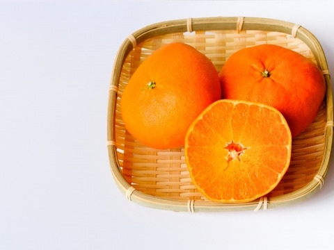 【濃密でシャキシャキ甘い】代々橙甘平【家庭用】３kg