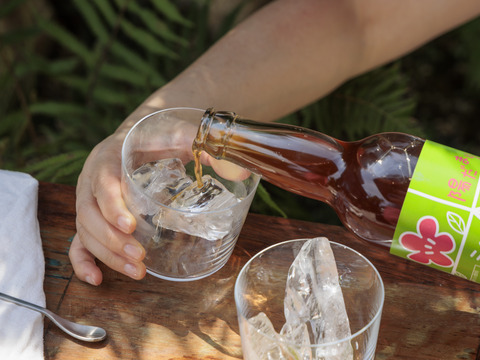 暑い夏を乗り切ろう！クエン酸たっぷり 梅シロップ  4倍希釈時25%うめ果汁入り飲料 （550ml×1本）栽培期間中農薬不使用