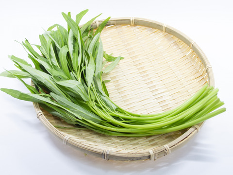 【肥料&農薬不使用栽培】固定種の空芯菜 500グラム
