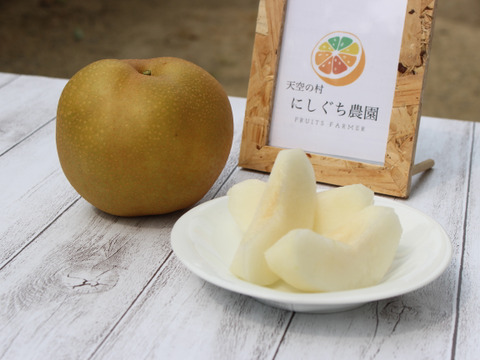 豊水梨（小箱）袋掛け栽培【秀品】天空の村よりお届け♫
