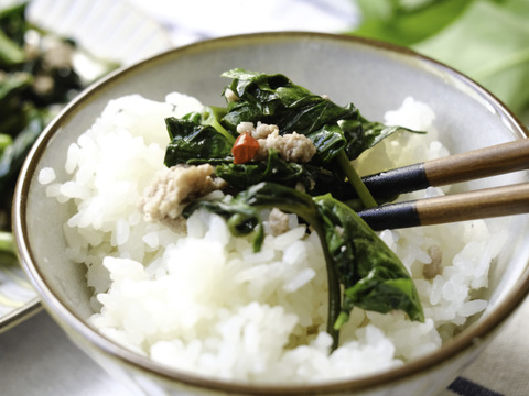 化学農薬・肥料不使用の空芯菜（約1.6kg）お魚が野菜を育てる「アクアポニックス」で栽培