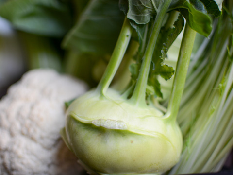 【旬の上州野菜】Mサイズ（6~7品目）梱包まで丁寧に