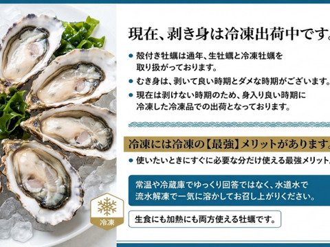 【水産アワード記念20％OFF中】🔥1年牡蠣 冷凍出荷🚚２kg(2kg入×1袋）🦪生食用 むき身・剥き身牡蠣 冷凍牡蠣🍳加熱用にも使用可能！🏝️松島牡蠣屋　牡蛎 カキ かき kaki