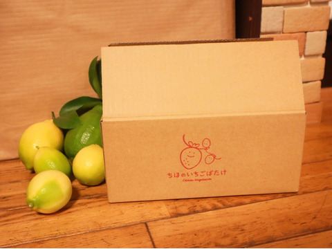 【冬ギフト】農薬不使用レモンの食べ比べ福箱！
希少ライムのおまけ付き♪