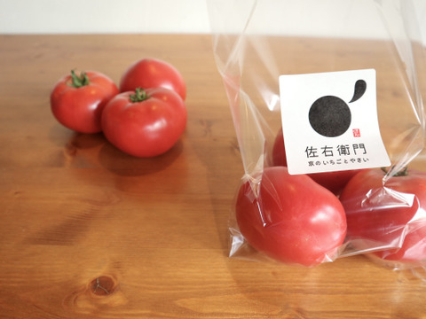 長年のファンお墨付き！佐右衛門のトマト（3kg)