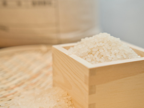 北海道産 特別栽培米 (令和4年産)ななつぼし5kg(精米)
