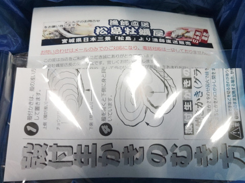 【水産庁補助事業　送料無料】🦪  生食用１ｋｇ 殻付き 牡蠣 急速凍結 ❄️ 牡蛎 kaki カキ 松島牡蠣屋直送 🔥 BBQ・海産物に！😋冷凍牡蠣 貝類 二枚貝 B