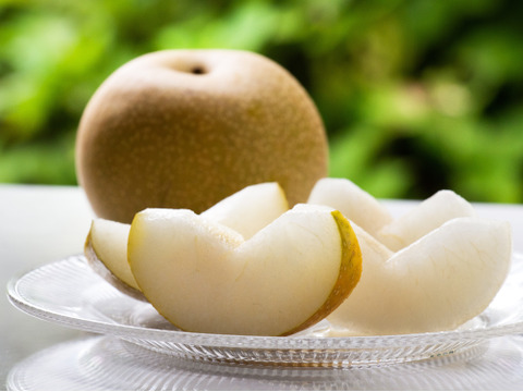 甘みと酸味のバランスが最高！豊水梨（家庭用）　約5kg(18玉)　小ぶり