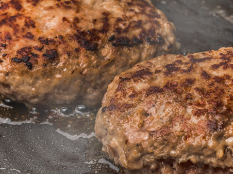 若狭牛100％ 絶品ハンバーグ　200g×4個