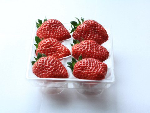 朝採りいちご　大粒まりひめ　12粒　ゆりかーご発送