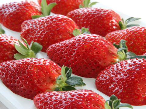 【ご予約商品】【ギフト可】完熟いちご化粧箱入り【24粒～33粒】