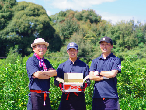 日下農園【片山みかん】サイズ混合10kg