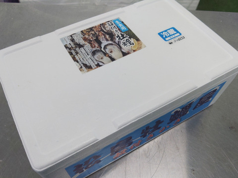 【水産庁補助事業 送料無料】剥き身セット🚚2.3kg 予約販売 【1/7～発送スタート】生牡蠣🦪生食用むき身300g+殻付き牡蠣普通サイズ ２kg（目安12-32個）松島牡蠣屋 C