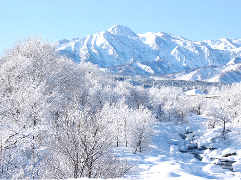 有機たっぷり！妙高産コシヒカリ特上特別米（5㎏）