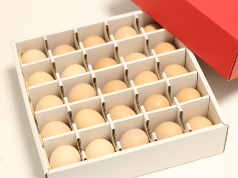 【大寒卵】★★★平飼いで育てた有精卵25個入り★★★
小振りながらも濃厚な土佐ジロー卵 　贈答やギフトにもおすすめ　仁淀ブルーの町いの町からお届け