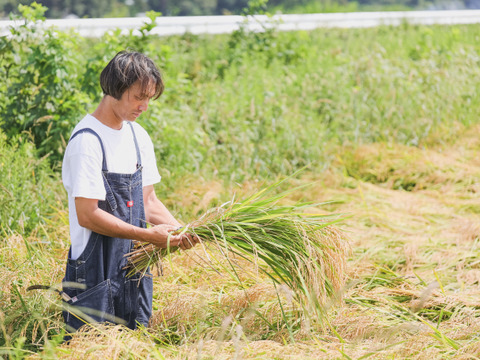 サラサラすすむ"安心"のササニシキ 25kg玄米【有機肥料100%・農薬節約】小分け