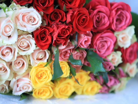 【25本】あふれるバラで至福の時を…ハウスからお届け！厳選バラのセット（ご自宅用簡易ラッピング）