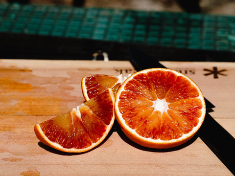 SP2 【濃厚な甘み】ブラッドオレンジ（タロッコ）1.8kg
