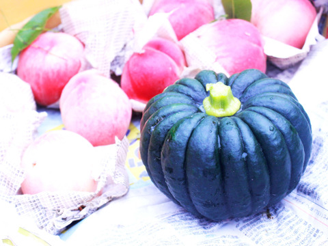 6月末～7月上旬予約 しっとり！桃のそばで美味しい！桃小菊かぼちゃ！5-6個入3900g程度