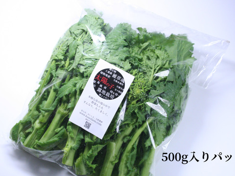 【菜花】菜花1kg 農薬・化学肥料不使用栽培