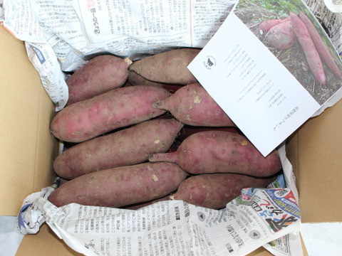 北海道産さつまいも『べにはるか』10kg【冬ギフト】Mサイズ