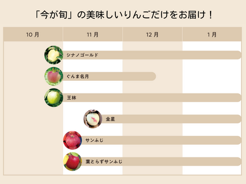 【12月発送】おまかせ旬りんご詰め合わせ（ギフト用5kg・14~20玉）【冬ギフト】