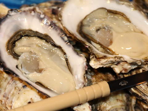 大振りの身が詰まったThe Oyster！【三陸ジオイスター】20個入り