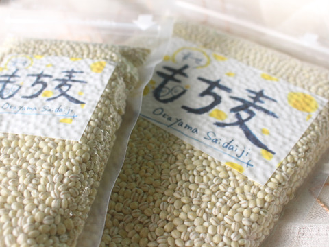 令和7年産　もちっプチっ食感が癖になる！岡山西大寺幸せもち麦400ｇ（200ｇ×２）