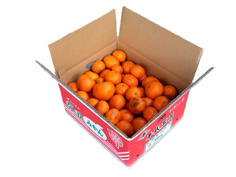 【冬ギフト】農家直送！有田みかん10kg≪訳あり（サイズ混合）≫【平武農園】～蛍飛ぶ町から旬の便り～　和歌山｜有田｜田口｜ギフト｜こだわり　産地直送　お取り寄せ