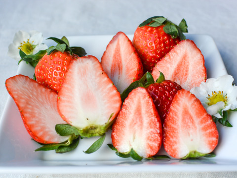 【おまかせ食べ比べ】いちごサイズおまかせ2パック 【よつぼし】【おいCベリー】【やよいひめ】から収穫開始次第、2品種をサイズは、おまかせでお届け‼︎ 朝採りをその日のうちに発送します(^^)