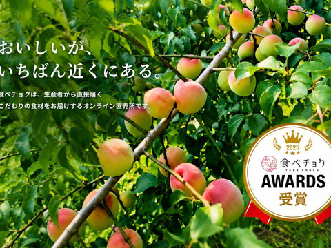 特別栽培】和歌山県産 南高梅 3Lサイズ(梅酒、梅シロップ用)5kg