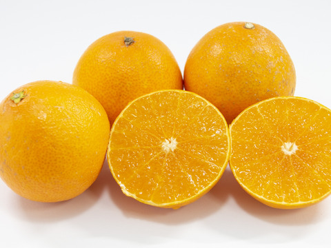 【限定200】秋の厳選くだものだより第2弾（食べチョク公式）