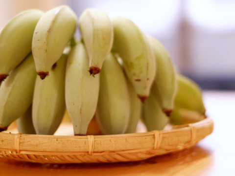 予約販売2ヶ月〔自然栽培〕ナムワ系バナナ6kg カニステル2kg
