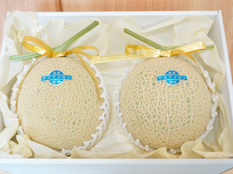 今季最終便【秋作】特選マスクメロン3.2kg以上(1.6kg以上×2玉・リボン付き・オリジナル化粧箱入り)