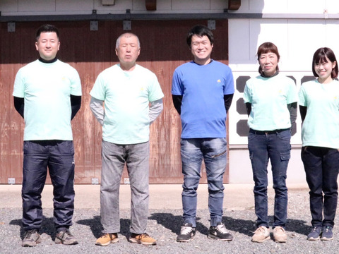 【数量限定・家庭用】熊本県産早生みかん3kg　甘さギュッ！樹上完熟を農家直送でお届け