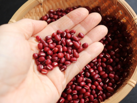 【1月のお届け】◎自然栽培◎大納言あずき 9.5kg 《令和6年・山形県鶴岡産》