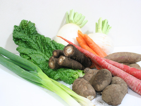 【冬の野菜セット】お節料理などの年末年始に役立つ旬の野菜9種類