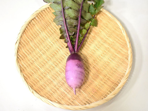 和らぎ農法　紫大根（1～2本）