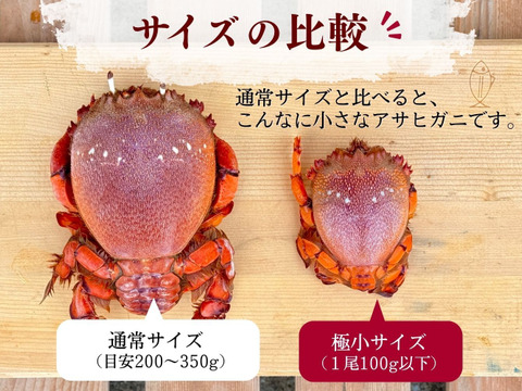 【極小アサヒガニ】宮崎県産｜お味噌汁や出汁料理に｜３kg