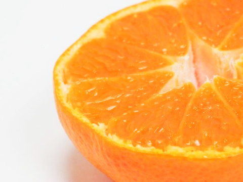 陽だまりファーム  柑橘ジュースセット