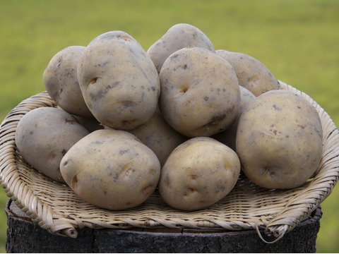 丹波産　自然栽培黒枝豆（1kg）+　自然栽培　ジャガイモ　1.8ｋg（メークイン・北海黄金）　※ともに簡易包装でのお届け