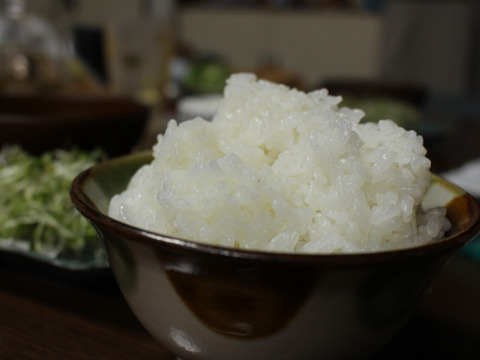 ＊粘りが強くモチモチ柔らか食感　令和5年産特別栽培米さとのつき精米　5kg