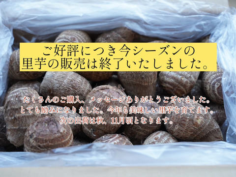 寒冷地専用・クール便発送【農薬・化学肥料不使用】ねっとり里芋（土垂）大サイズ　5kg