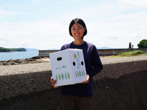 【ドルチェドリーム】朝どれ！生でもおいしいスイートコーン（10～13本/4kg）