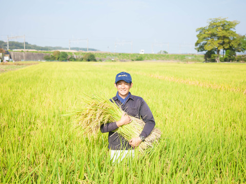 【母の日ギフト・グルテンフリー！】玄米米粉のバウムクーヘン　ホール・カットギフト（ソフトプレーンホール1個・ハードプレーンカット5個）