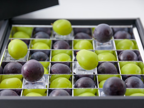 ぶどうの宝石箱シャインマスカットとニューピオーネ又はオーロラブラック（一粒14g以上36粒）