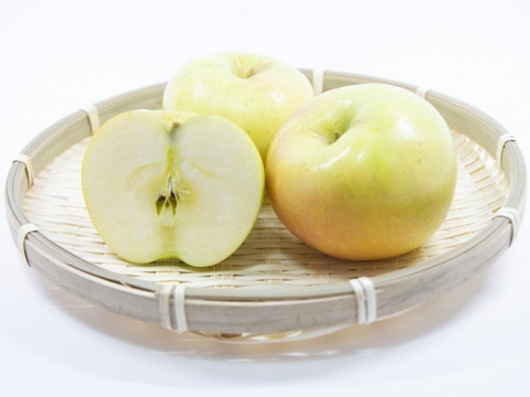 シャキッと甘い 青森県産完熟葉とらずトキりんご 5kg（15個前後）贈答、ギフト、家庭用にも